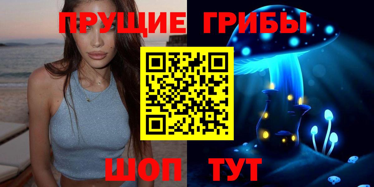 Тутаев  цены   Вход с VPN  Псилоцибиновые грибы Psilocybine cubensis 
